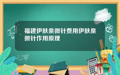 福建伊肤泉微针费用伊肤泉微针作用原理