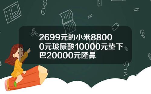 2699元的小米88000元玻尿酸10000元垫下巴20000元隆鼻