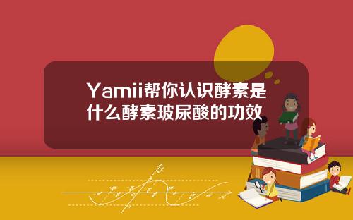 Yamii帮你认识酵素是什么酵素玻尿酸的功效