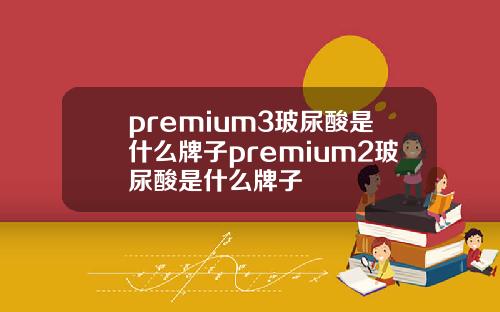 premium3玻尿酸是什么牌子premium2玻尿酸是什么牌子