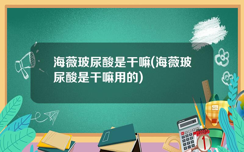 海薇玻尿酸是干嘛(海薇玻尿酸是干嘛用的)